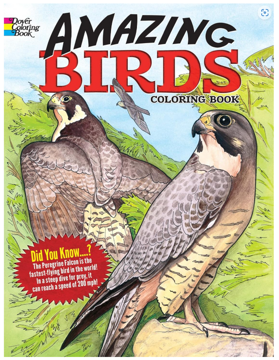 Amazing Birds Coloring Book
