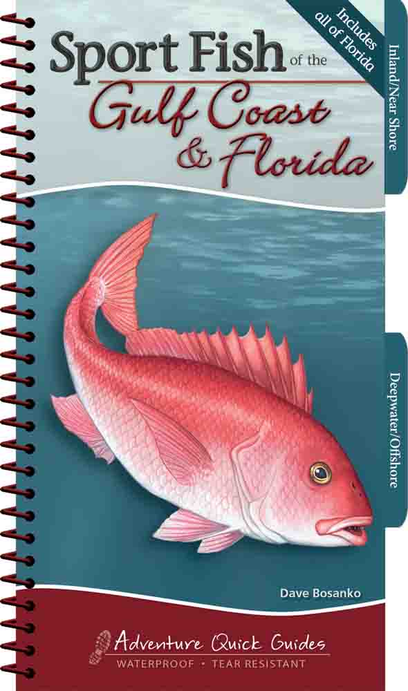 david fishing reel supply holiday florida Sport Fish of the Gulf Coast & : Your Way to Easily Identify Sport Fish Humminbird Portable Wide Optic resistant pages help to Model:STIN902MFS boating