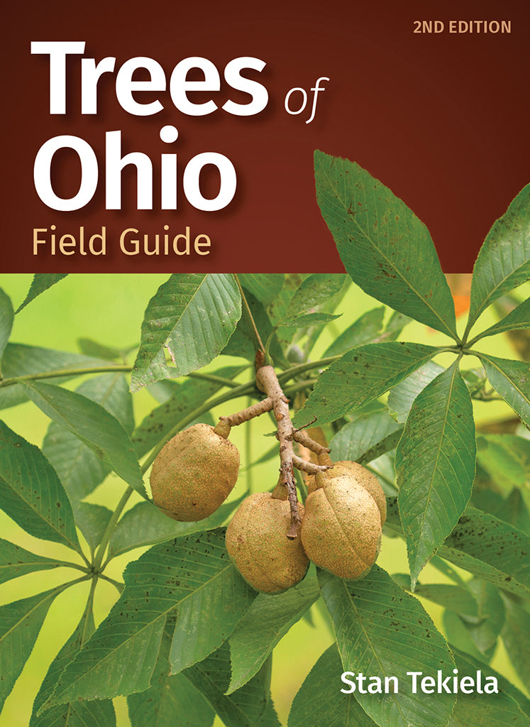 Trees of Ohio - Identification and Facts — Nature's Workshop Plus