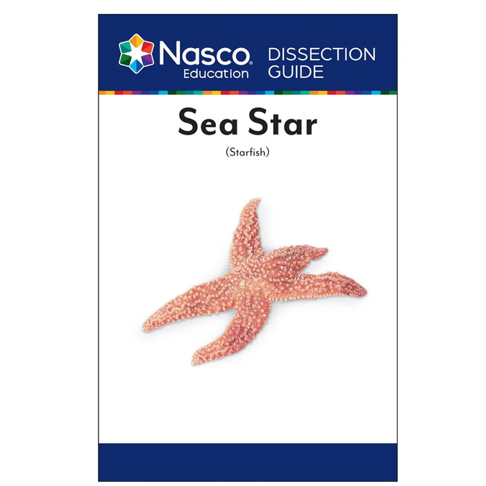 Starfish Dissection Guide