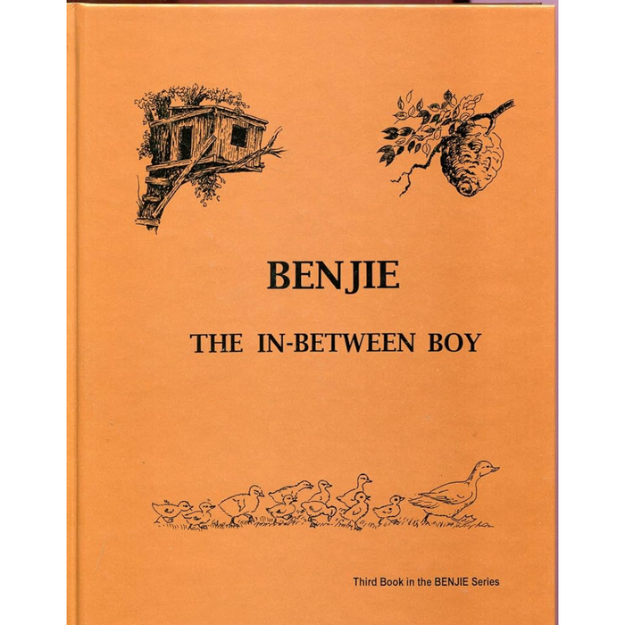 Benjie:  The In-Between Boy