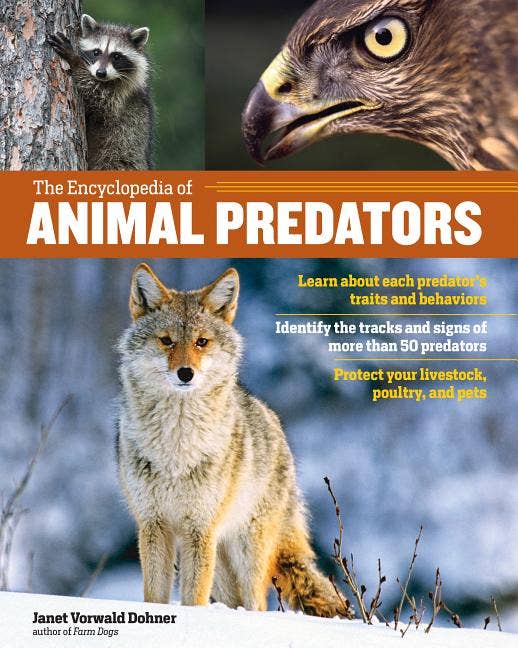 Encyclopedia Of Animal Predators — Nature's Workshop Plus