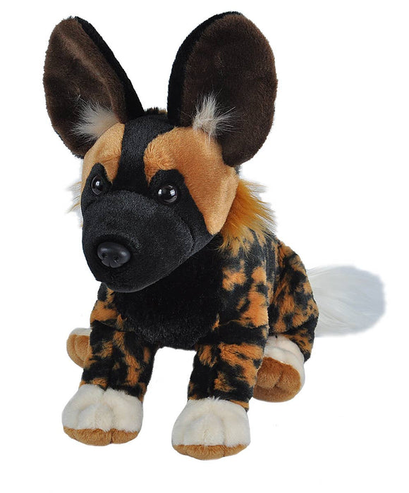 12" African Wild Dog