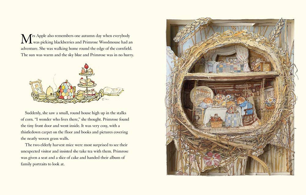 Brambly Hedge Pop-Up