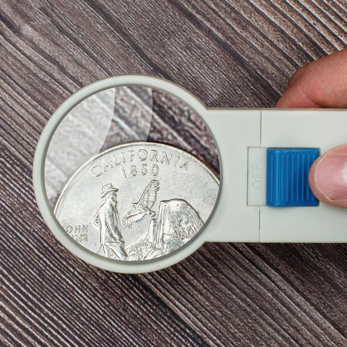 Hand-Held LED 5x Magnifier