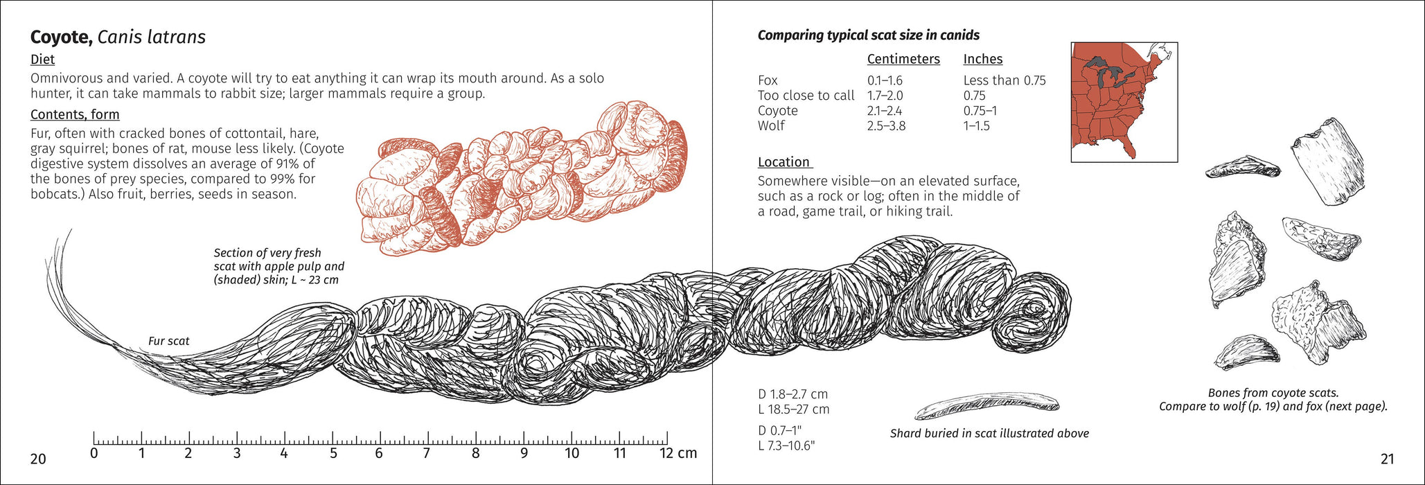 Scat Finder 2nd Edition