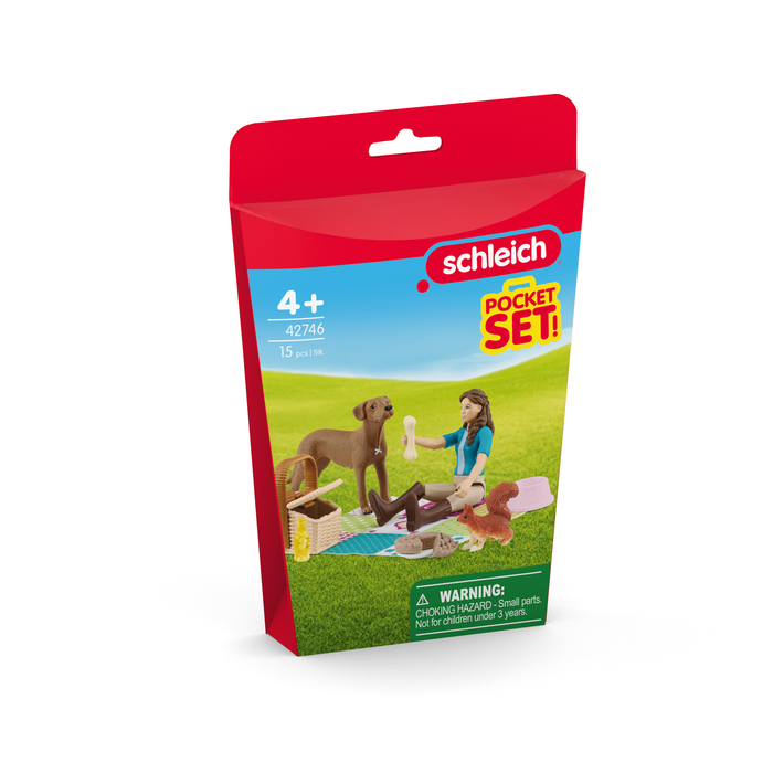 Picnic with Lisa Playset