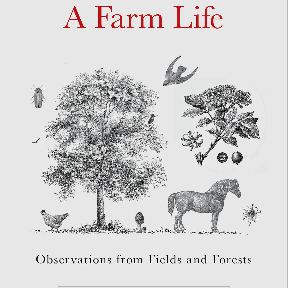 A Farm Life-Observations from Fields and Forests — Nature's Workshop Plus