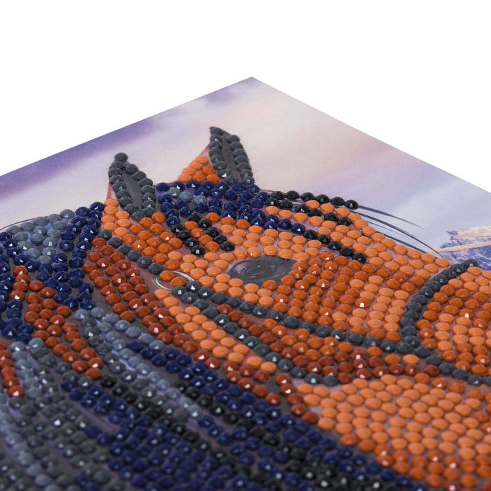 Crystal Art Card Kit: Horse