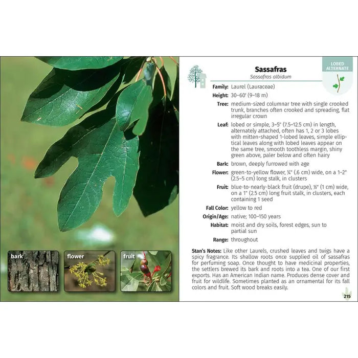 Trees of the Carolinas