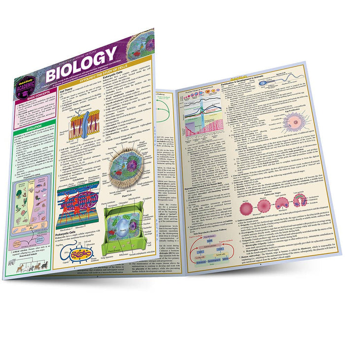 Biology Study Guide