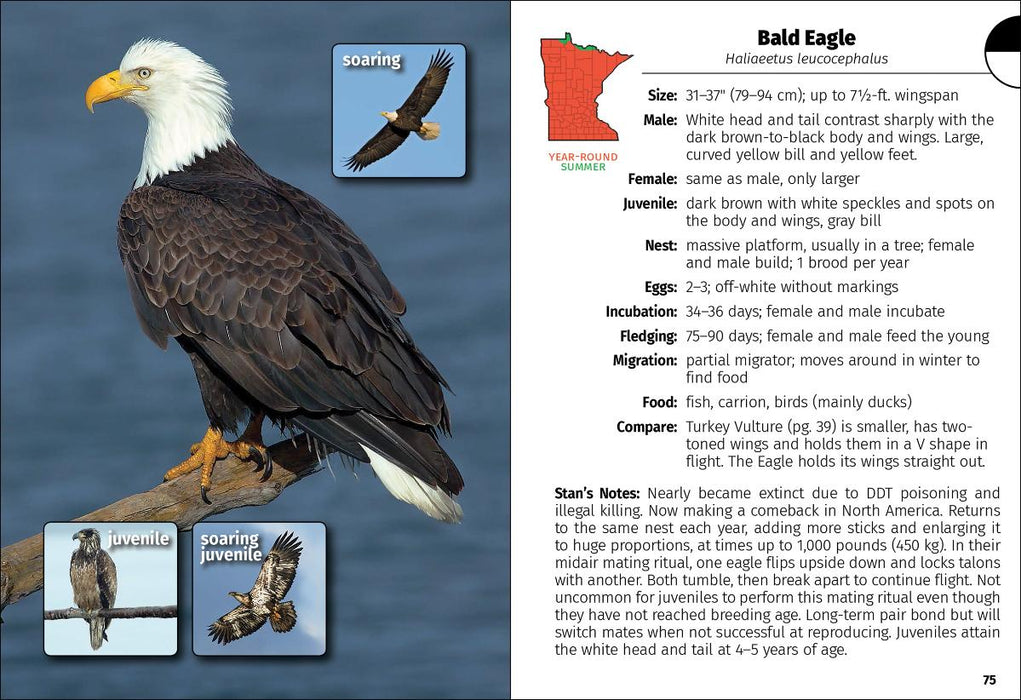 Birds of Minnesota