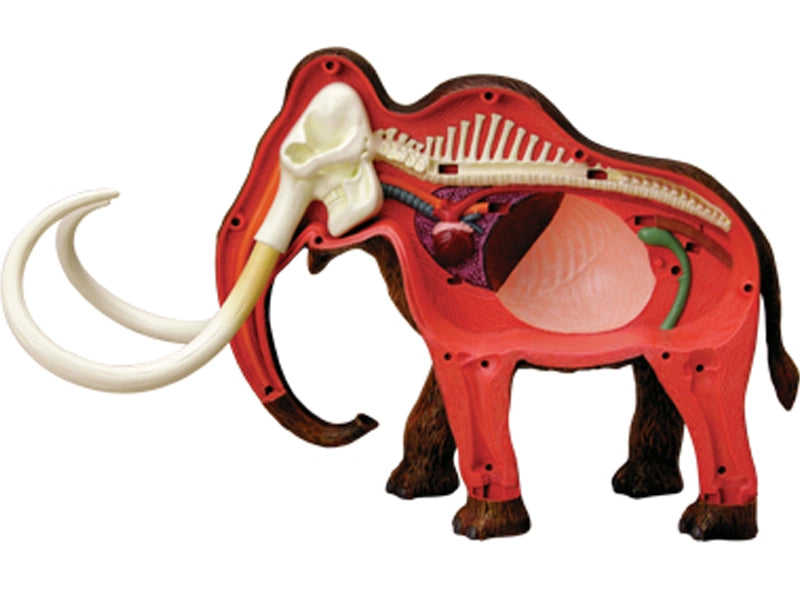 4D Woolly Mammoth Model