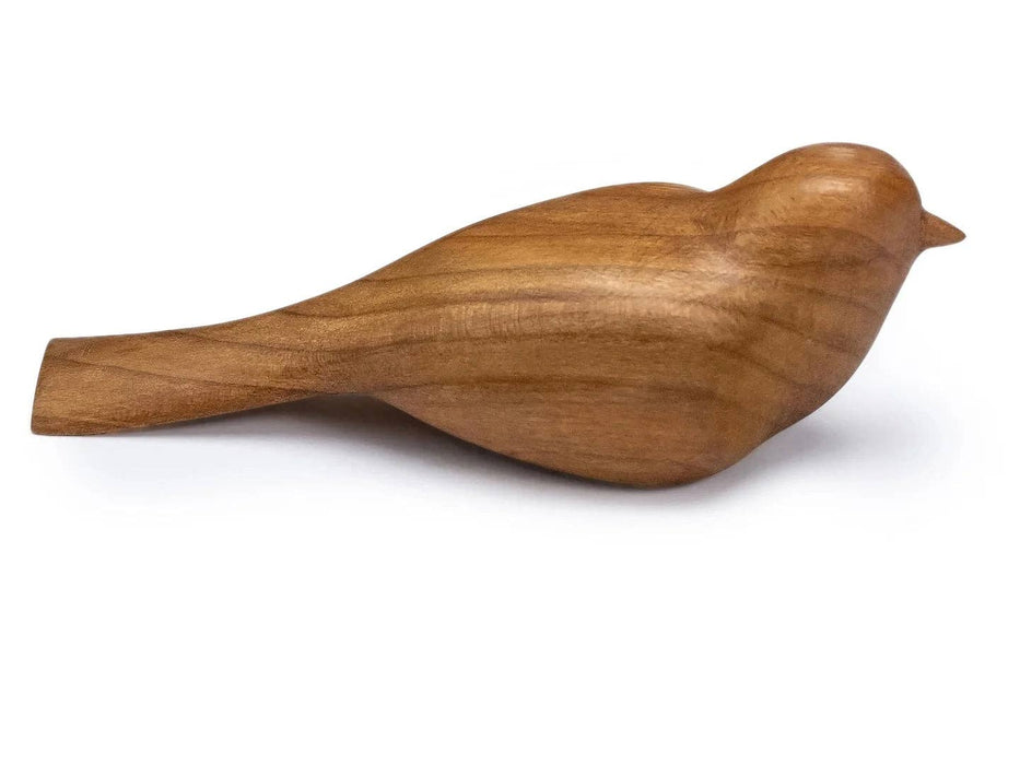 Bird Carving Starter Kit