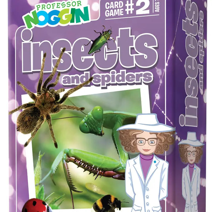 Prof. Noggin Insects & Spiders