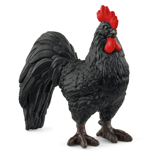 Mobile Chicken Coop- 2025