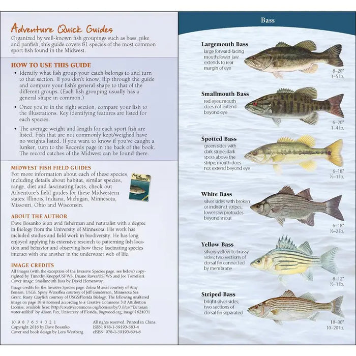 Fish of the Midwest