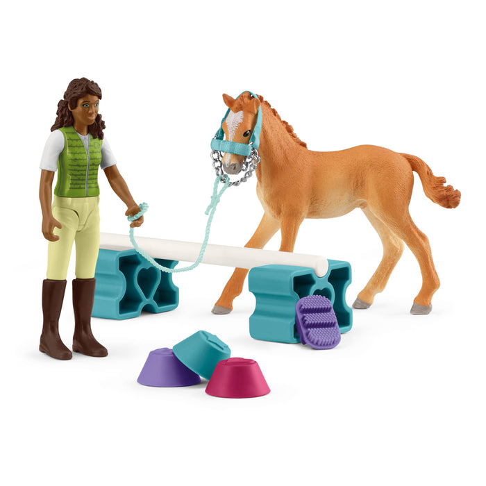 Training set for foal & Sarah