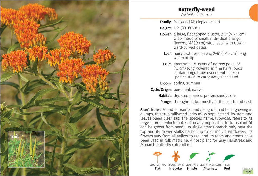 Wildflowers of Ohio