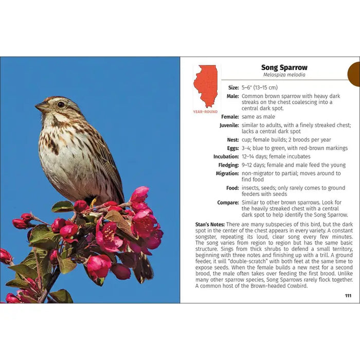 Birds of Illinois