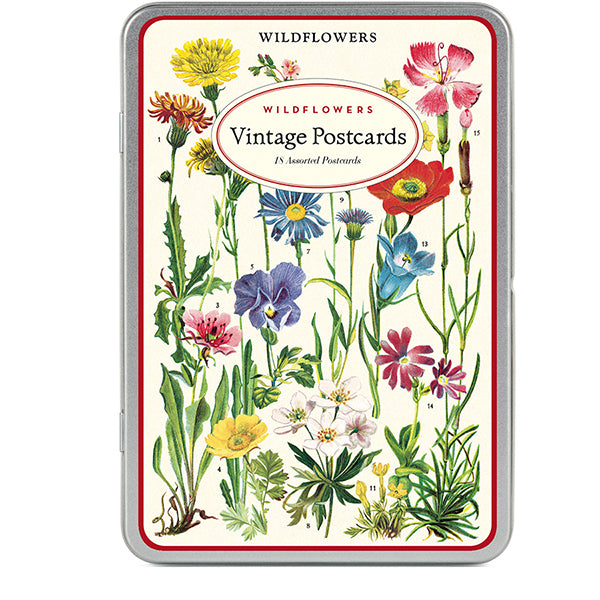 Wildflowers Vintage Postcards