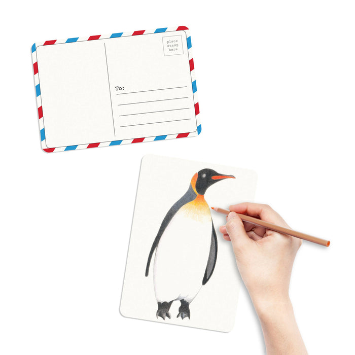 Bird Coloring Postcards