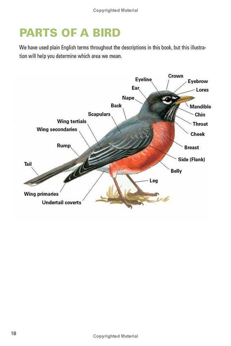 Birding Florida: Falcon Guide