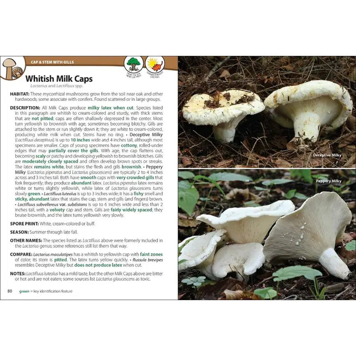 Mushrooms of the Upper Midwest