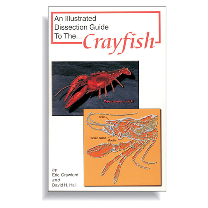 Crayfish Dissection Guide