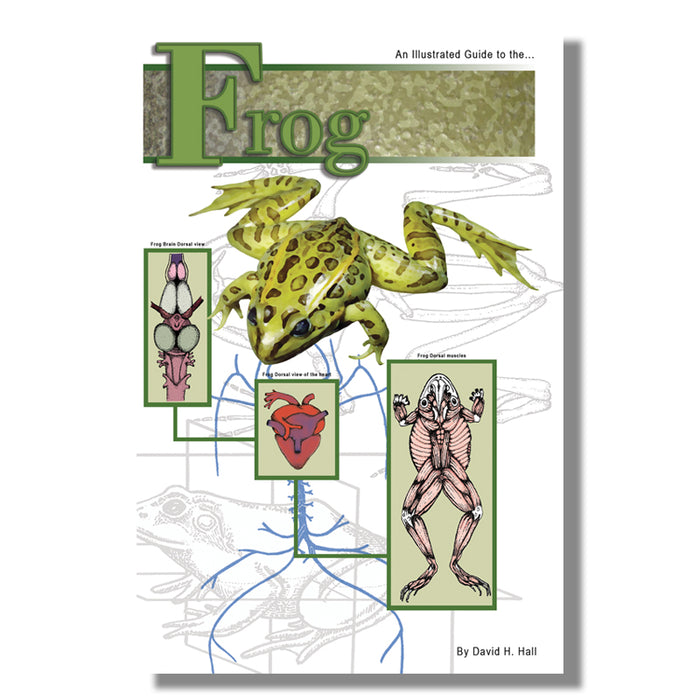 Frog Dissection Guide