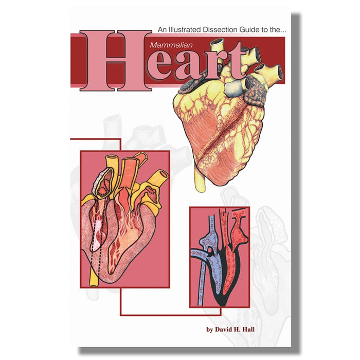 Mammalian Heart Dissect Guide
