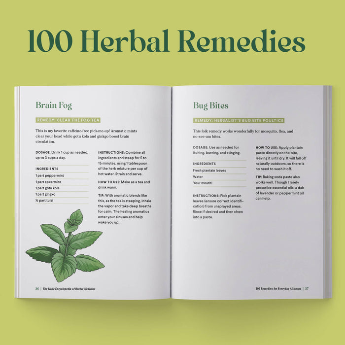 Little Encyclopedia Of Herbal Medicine
