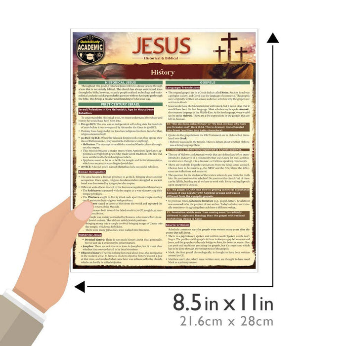 Jesus: Historical & Biblical Study Guide