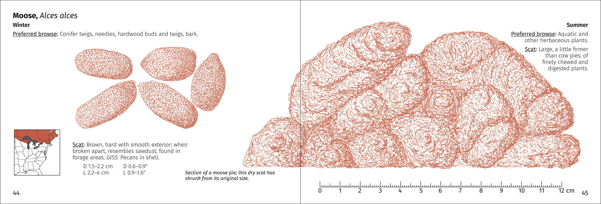 Scat Finder 2nd Edition