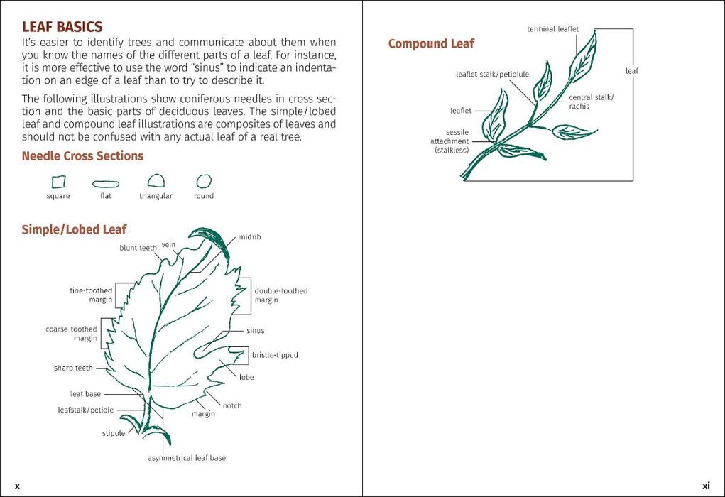 Trees of Michigan