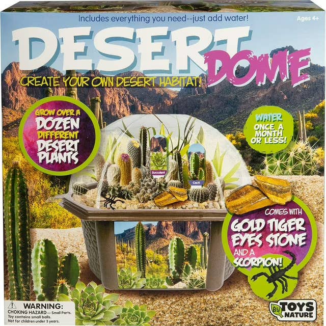 Desert Dome Biosphere Terrarium