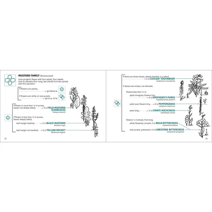 Flower Finder