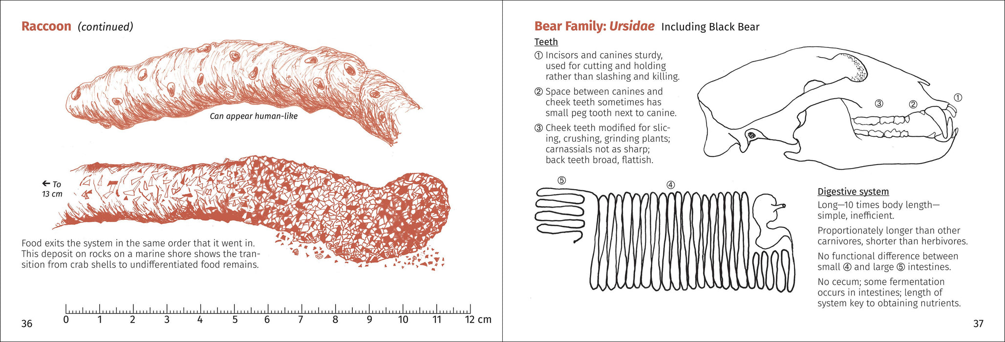 Scat Finder 2nd Edition
