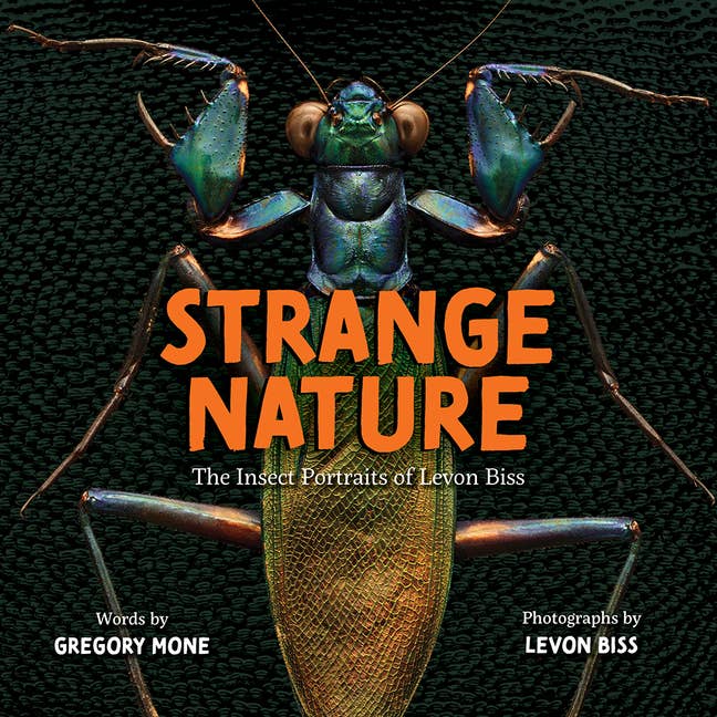 Strange Nature: The Insect Portraits Of Levon Biss