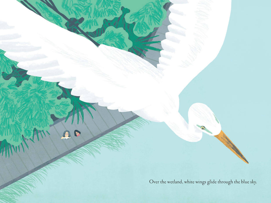 Over and Under the Wetland