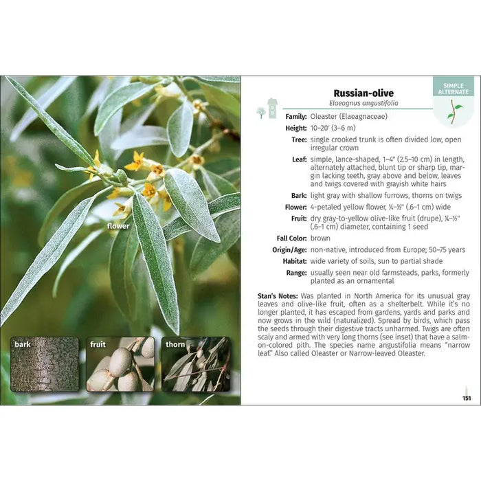 Trees of the Carolinas