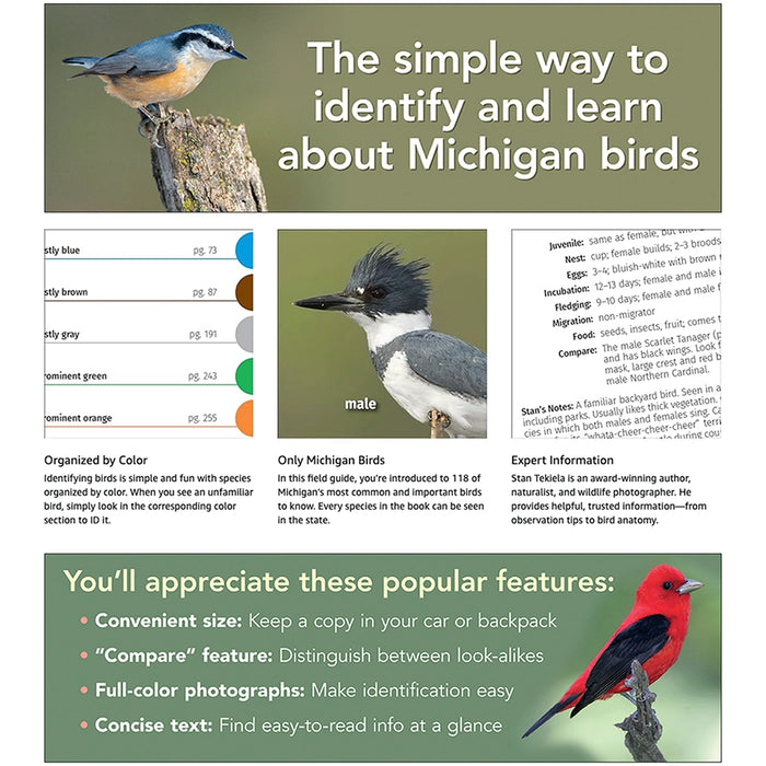 Birds of Michigan