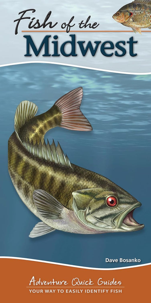 Fish of the Midwest - Field Guide for Fishing Enthusiasts