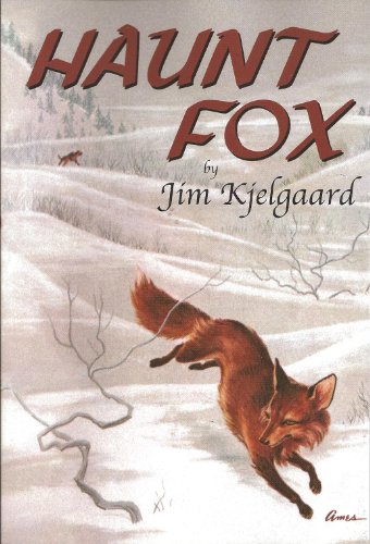 Haunt Fox