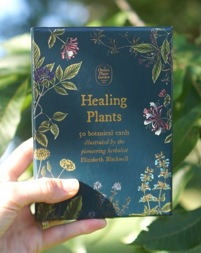 Healing Plants: 50 Botanical Cards — Nature's Workshop Plus