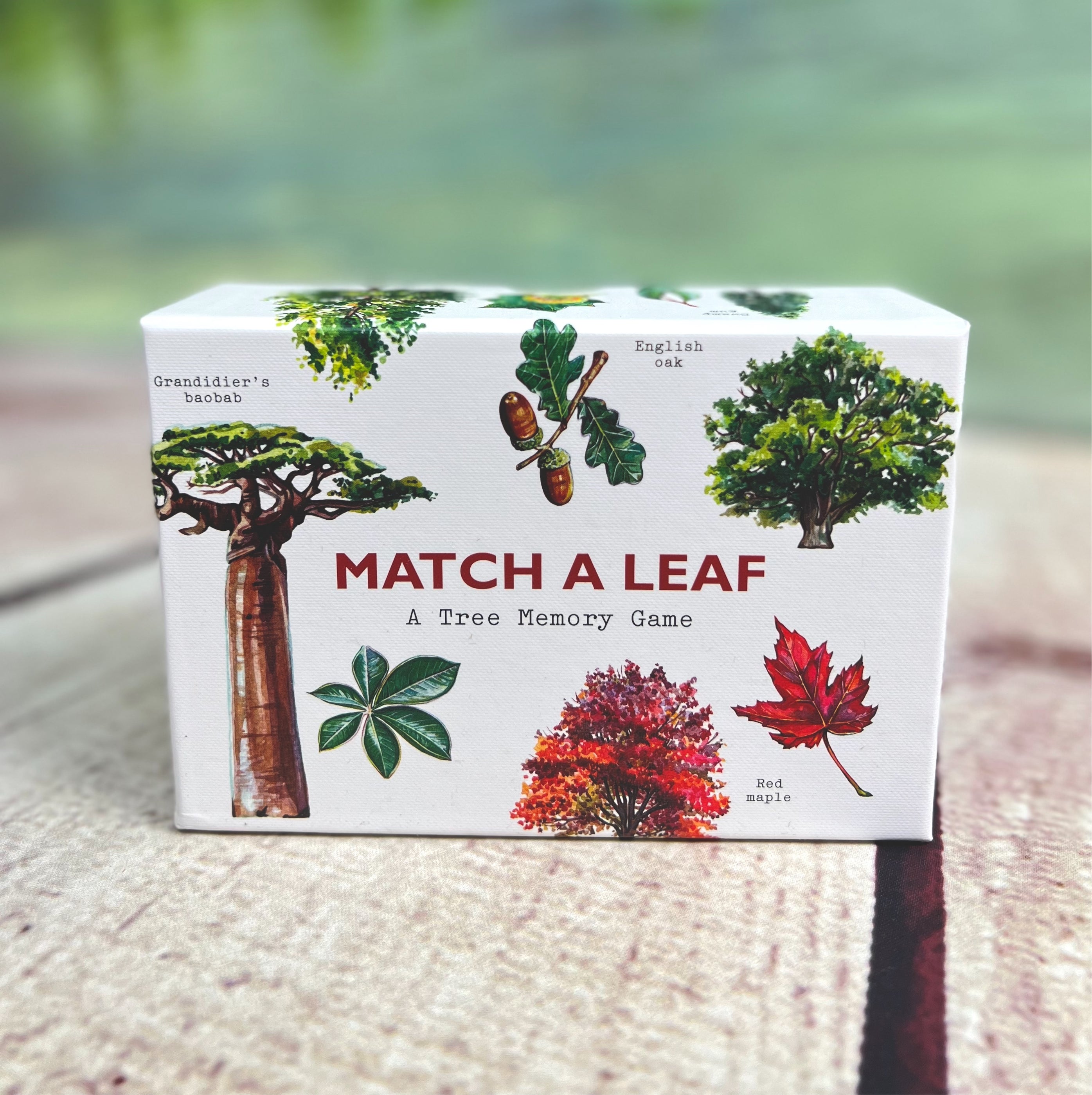 Match a Leaf Game: Tree Identification Game — Nature's Workshop Plus