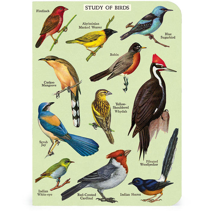 Bird Watching Mini Notebooks