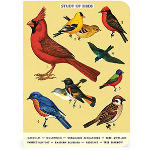Bird Watching Mini Notebooks