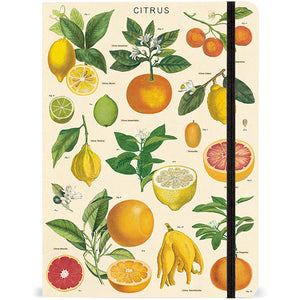 Citrus Notebook — Nature's Workshop Plus