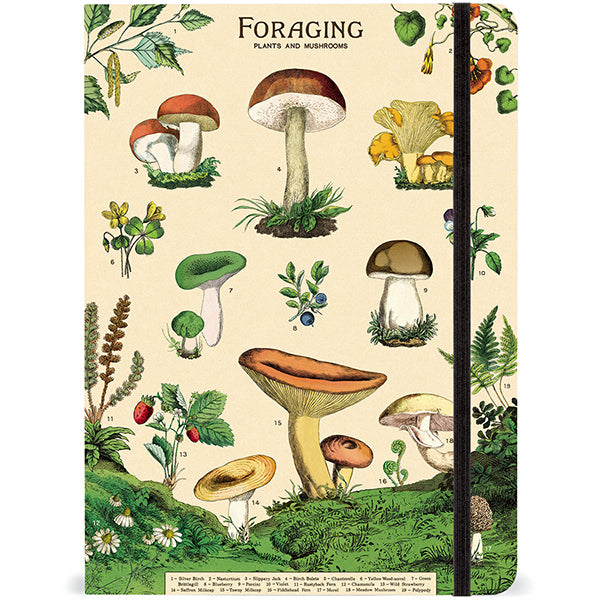Foraging Notebook
